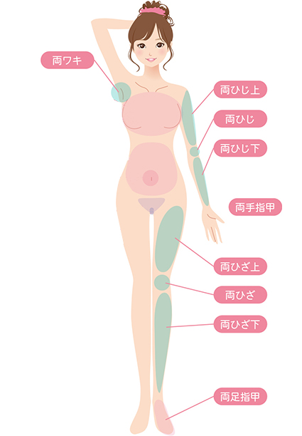 両ウデ・両アシ・両ワキ