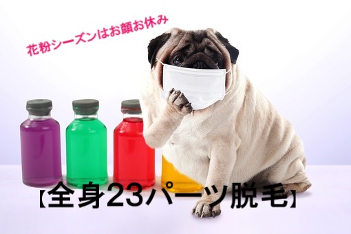花粉シーズン限定！スペシャルメニュー