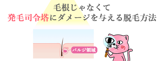 SHR式脱毛の原点！